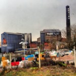 With regard to braininess.