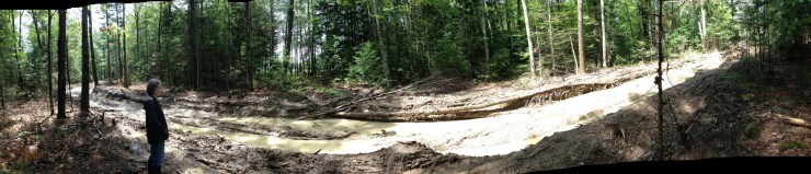 A bogged-out skidder road after a major woodcut.